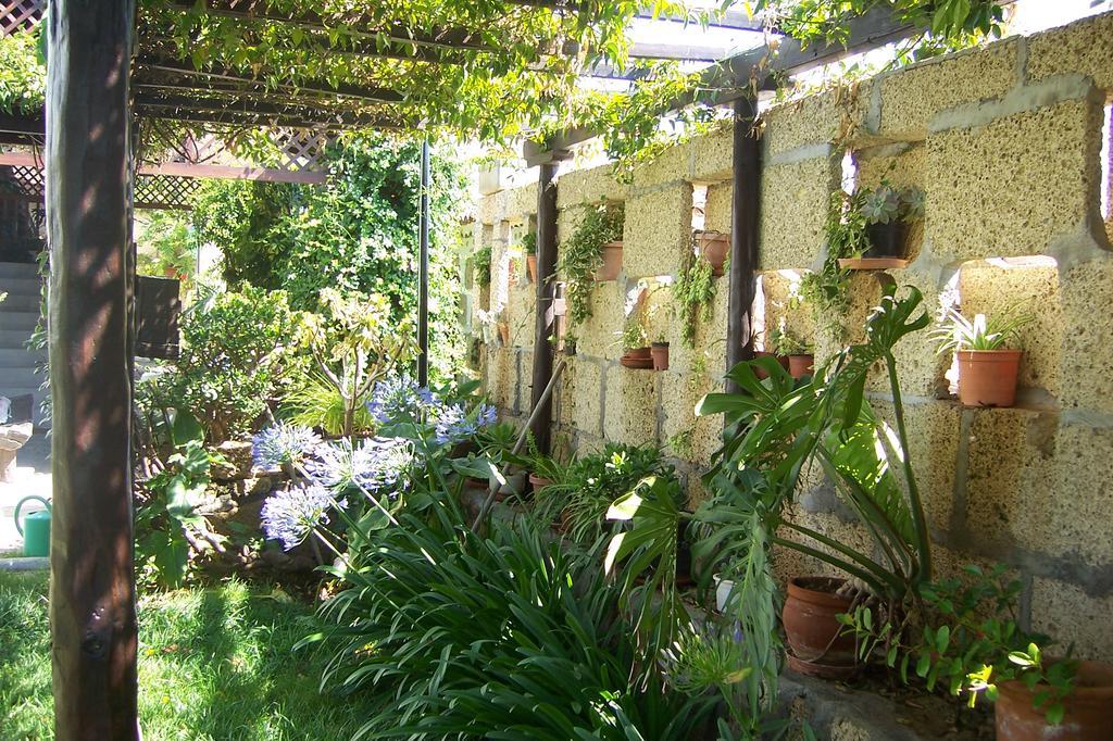 Casa Rural Anton Piche With Pool-Adults Only Granadilla de Abona Kültér fotó