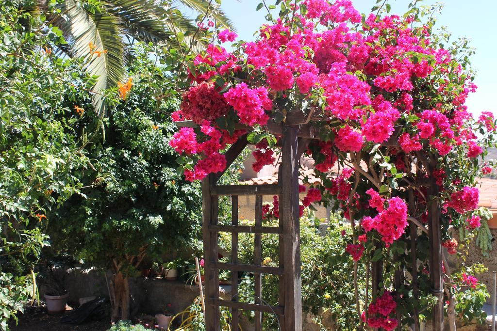 Casa Rural Anton Piche With Pool-Adults Only Granadilla de Abona Kültér fotó