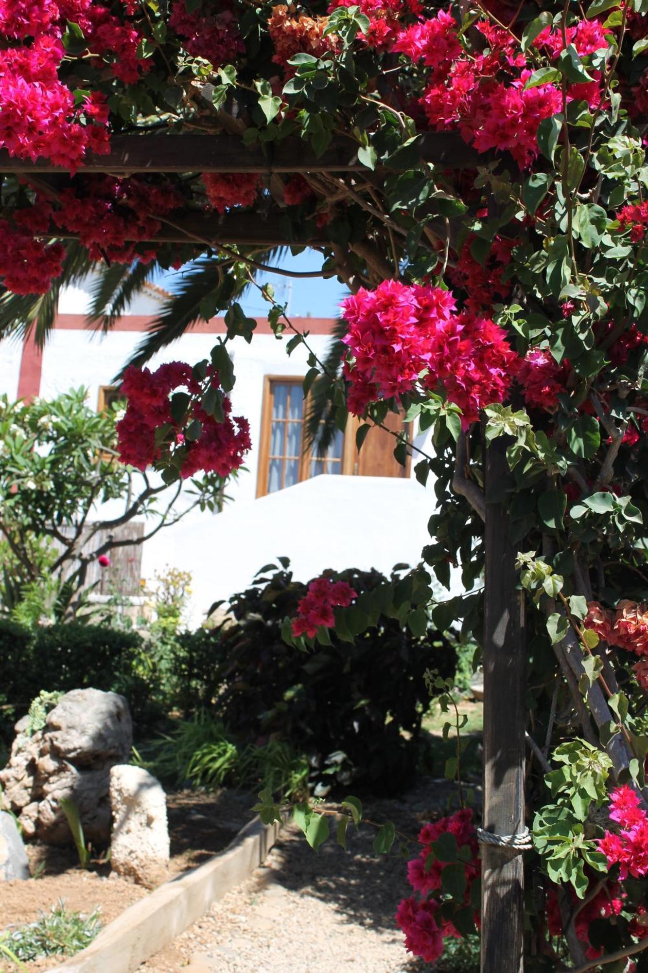 Casa Rural Anton Piche With Pool-Adults Only Granadilla de Abona Kültér fotó