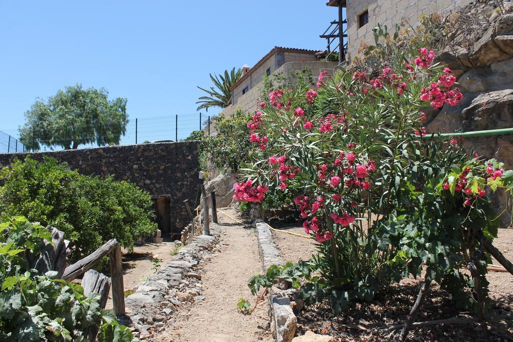 Casa Rural Anton Piche With Pool-Adults Only Granadilla de Abona Kültér fotó