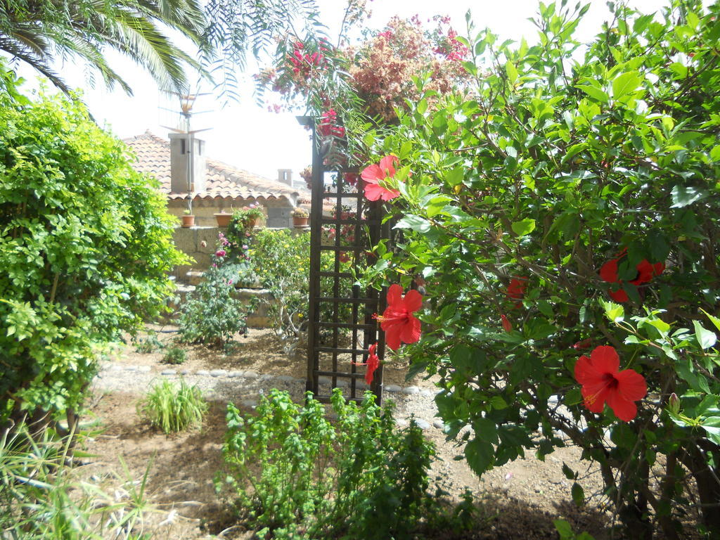 Casa Rural Anton Piche With Pool-Adults Only Granadilla de Abona Kültér fotó