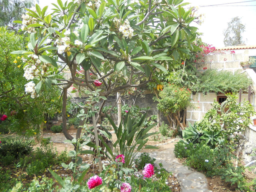 Casa Rural Anton Piche With Pool-Adults Only Granadilla de Abona Kültér fotó