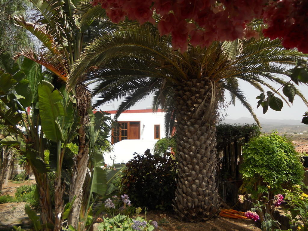 Casa Rural Anton Piche With Pool-Adults Only Granadilla de Abona Kültér fotó